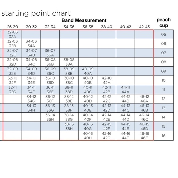 Peach Company Lovely Plunge Bra Size 38-11. 38D - Picture 8 of 9